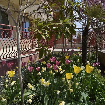 게스트하우스 Jane 3*